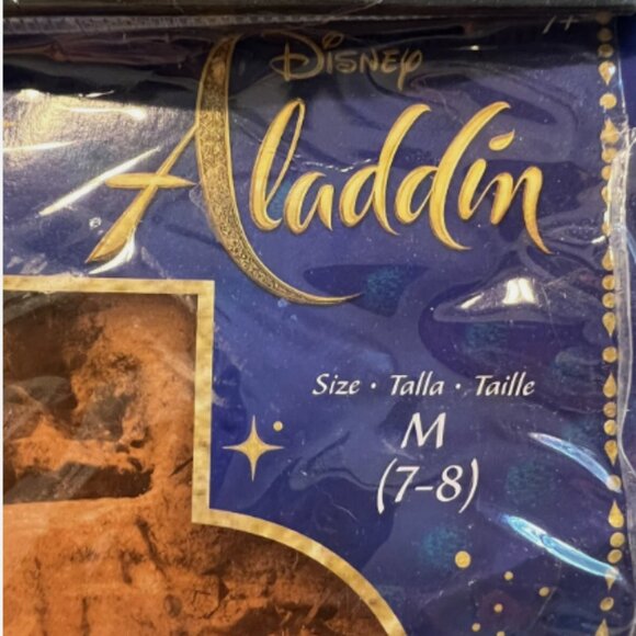 Aladdin Costume - Picture 8 of 9